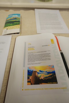 Laura Kumprej Simfonija barv (2)